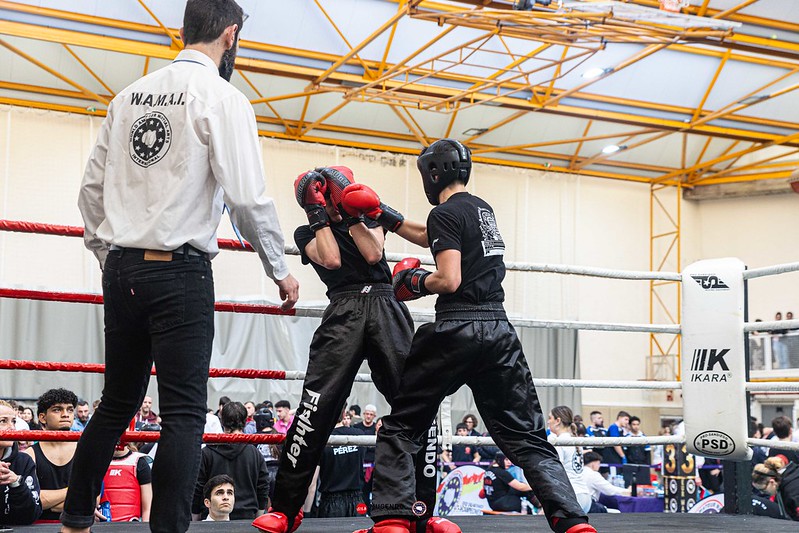 mugendo artes marciales